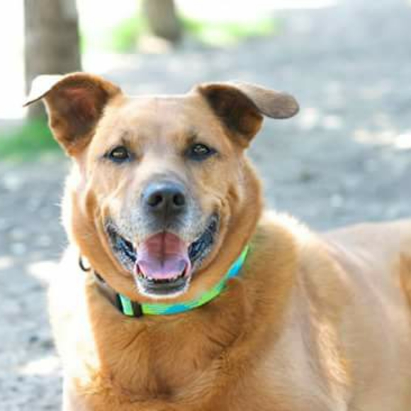 Meet your seller - Picture 3 of 4